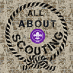 all about scouting india