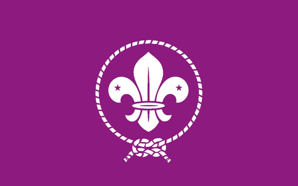 WOSM Scout Flag